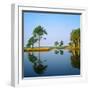 Reflection of Trees on Water, Ocean City Golf and Yacht Club, Berlin, Worcester County-null-Framed Photographic Print