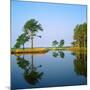 Reflection of Trees on Water, Ocean City Golf and Yacht Club, Berlin, Worcester County-null-Mounted Photographic Print