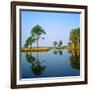 Reflection of Trees on Water, Ocean City Golf and Yacht Club, Berlin, Worcester County-null-Framed Photographic Print