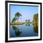 Reflection of Trees on Water, Ocean City Golf and Yacht Club, Berlin, Worcester County-null-Framed Photographic Print