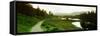 Reflection of trees on water, Tarn Hows, Lake District, Lake District National Park, Cumbria, En...-null-Framed Stretched Canvas