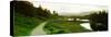 Reflection of trees on water, Tarn Hows, Lake District, Lake District National Park, Cumbria, En...-null-Stretched Canvas