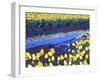 Reflection of Yellow Tulips, Washington, USA-William Sutton-Framed Photographic Print