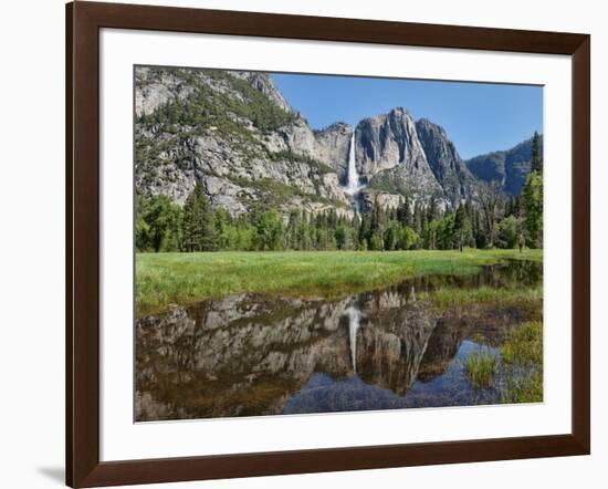 Reflection of Yosemite Falls in Merced River, Yosemite National Park, California, USA-null-Framed Photographic Print