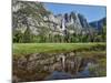 Reflection of Yosemite Falls in Merced River, Yosemite National Park, California, USA-null-Mounted Photographic Print