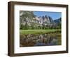 Reflection of Yosemite Falls in Merced River, Yosemite National Park, California, USA-null-Framed Photographic Print