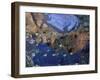 Reflection of Zion Canyon in Zion National Park, Utah, USA-Diane Johnson-Framed Photographic Print