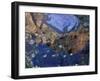 Reflection of Zion Canyon in Zion National Park, Utah, USA-Diane Johnson-Framed Photographic Print