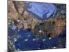 Reflection of Zion Canyon in Zion National Park, Utah, USA-Diane Johnson-Mounted Photographic Print