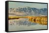 Reflection on Bear River National Wildlife Refuge, Utah-Howie Garber-Framed Stretched Canvas