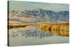 Reflection on Bear River National Wildlife Refuge, Utah-Howie Garber-Stretched Canvas