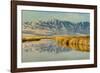 Reflection on Bear River National Wildlife Refuge, Utah-Howie Garber-Framed Photographic Print