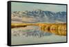 Reflection on Bear River National Wildlife Refuge, Utah-Howie Garber-Framed Stretched Canvas