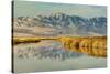 Reflection on Bear River National Wildlife Refuge, Utah-Howie Garber-Stretched Canvas