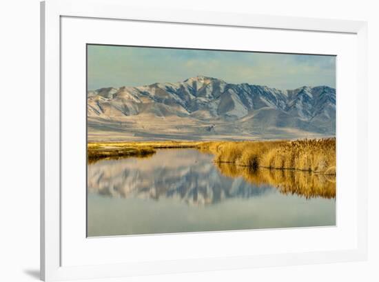 Reflection on Bear River National Wildlife Refuge, Utah-Howie Garber-Framed Photographic Print