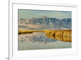 Reflection on Bear River National Wildlife Refuge, Utah-Howie Garber-Framed Photographic Print