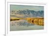 Reflection on Bear River National Wildlife Refuge, Utah-Howie Garber-Framed Photographic Print