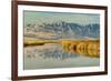 Reflection on Bear River National Wildlife Refuge, Utah-Howie Garber-Framed Photographic Print