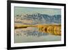 Reflection on Bear River National Wildlife Refuge, Utah-Howie Garber-Framed Photographic Print