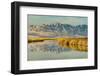 Reflection on Bear River National Wildlife Refuge, Utah-Howie Garber-Framed Photographic Print