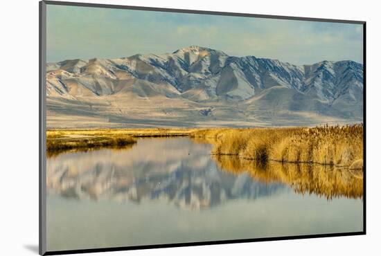 Reflection on Bear River National Wildlife Refuge, Utah-Howie Garber-Mounted Photographic Print