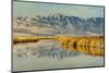 Reflection on Bear River National Wildlife Refuge, Utah-Howie Garber-Mounted Photographic Print