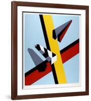 Reflection-Allan D'Arcangelo-Framed Premium Edition