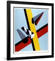 Reflection-Allan D'Arcangelo-Framed Premium Edition