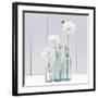 Reflection-James Guilliam-Framed Giclee Print