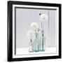 Reflection-James Guilliam-Framed Giclee Print