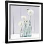 Reflection-James Guilliam-Framed Giclee Print