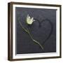 Reflection-Camille Soulayrol-Framed Giclee Print