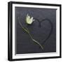 Reflection-Camille Soulayrol-Framed Giclee Print