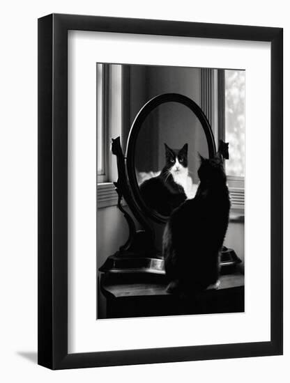 Reflection-Tom Artin-Framed Art Print