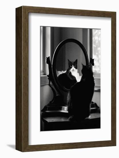 Reflection-Tom Artin-Framed Art Print