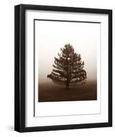 Reflection-Erin Clark-Framed Art Print