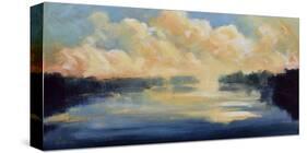 Reflection-Robert Seguin-Stretched Canvas