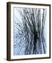 Reflection-Gaetan Caron-Framed Giclee Print