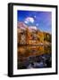 Reflection-null-Framed Photographic Print