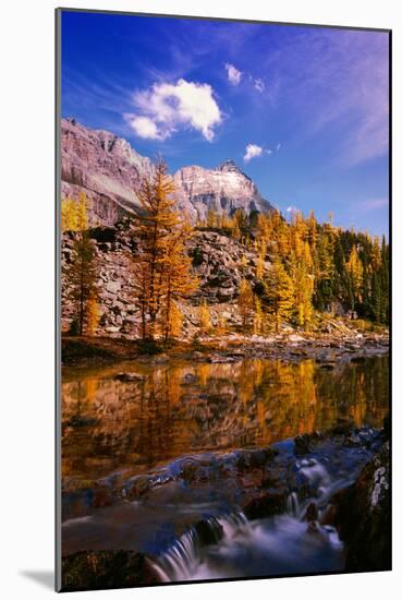 Reflection-null-Mounted Photographic Print
