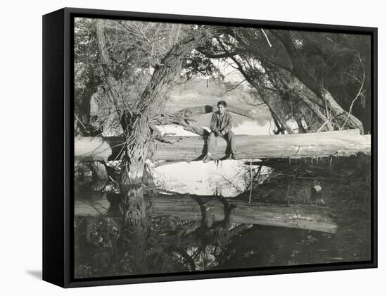 Reflection-null-Framed Stretched Canvas