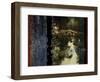 Reflection-Eric Yang-Framed Art Print