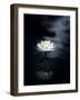 Reflection-Takashi Suzuki-Framed Giclee Print