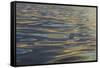 Reflections and ripples on ocean water, Hulopo'e Bay, Lanai, Hawaii.-Stuart Westmorland-Framed Stretched Canvas