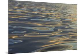 Reflections and ripples on ocean water, Hulopo'e Bay, Lanai, Hawaii.-Stuart Westmorland-Mounted Photographic Print