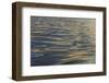 Reflections and ripples on ocean water, Hulopo'e Bay, Lanai, Hawaii.-Stuart Westmorland-Framed Photographic Print