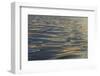 Reflections and ripples on ocean water, Hulopo'e Bay, Lanai, Hawaii.-Stuart Westmorland-Framed Photographic Print