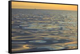 Reflections and ripples on ocean water, Hulopo'e Bay, Lanai, Hawaii.-Stuart Westmorland-Framed Stretched Canvas