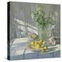 Reflections and Shadows-Timothy Easton-Stretched Canvas