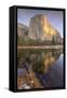 Reflections at El Capitan, Yosemite-Vincent James-Framed Stretched Canvas